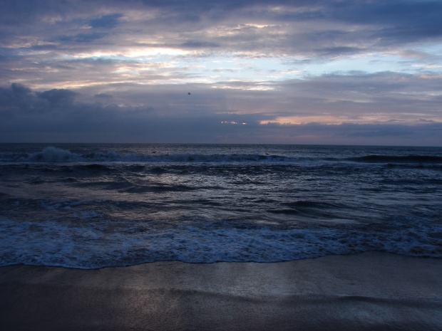 nags