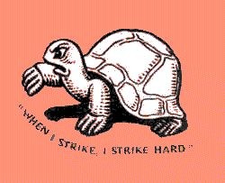 The Fabian Socialist Tortoise. A symbol of the slow and steady march toward socialism